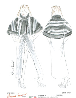 Модель 5720